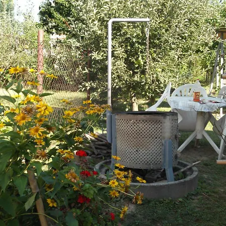 Szabó